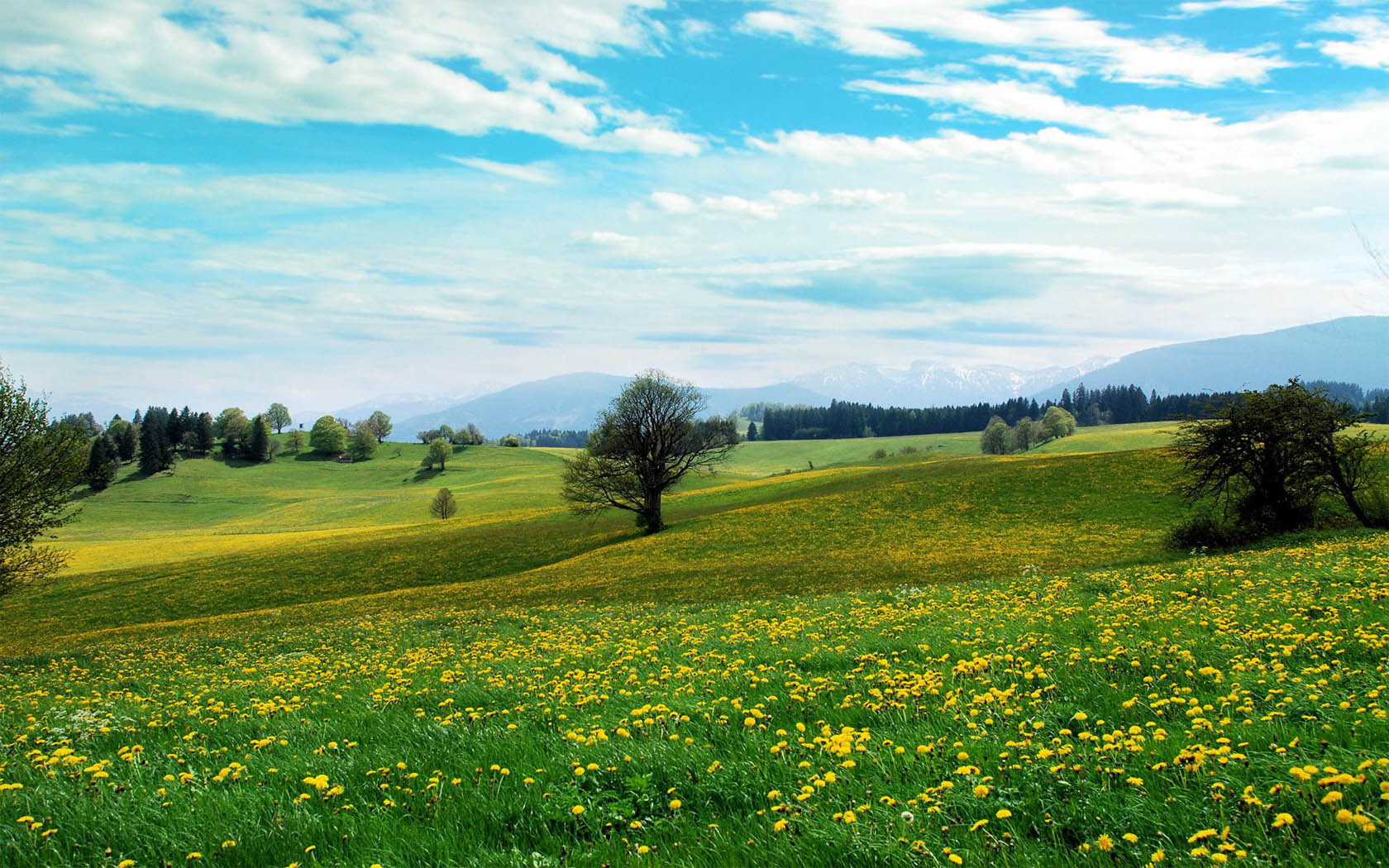 大數據下的人性