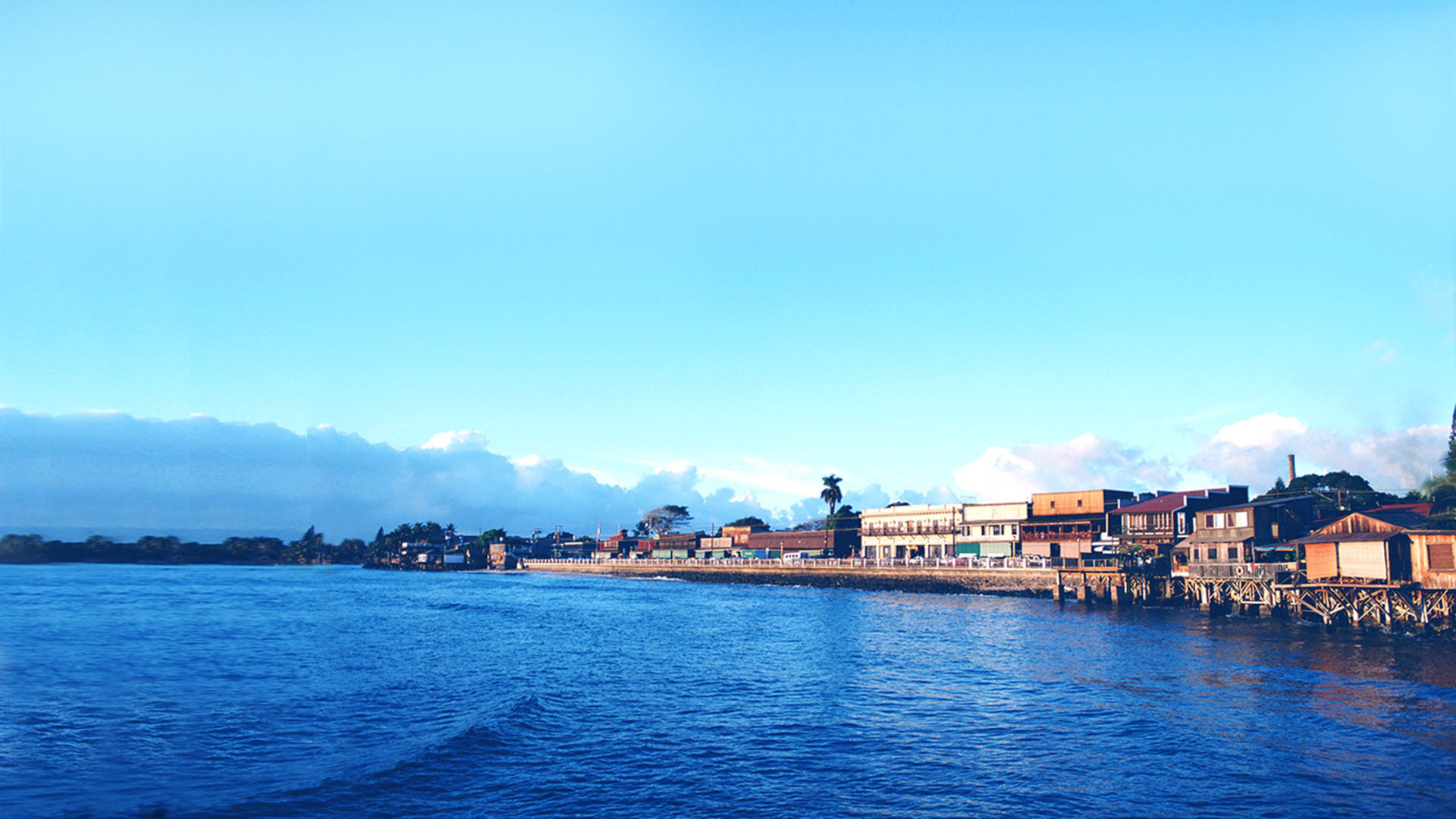 蘭有秀兮菊有芳，懷佳人兮不能忘。