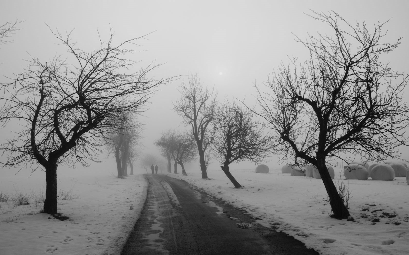 對企業忠誠的名言