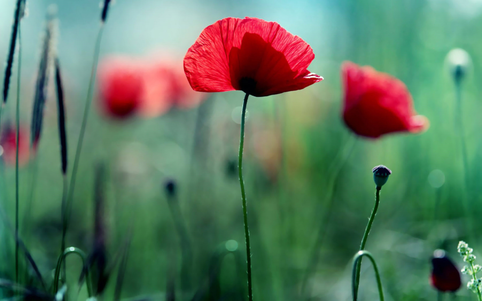 獨一無二的經典文案