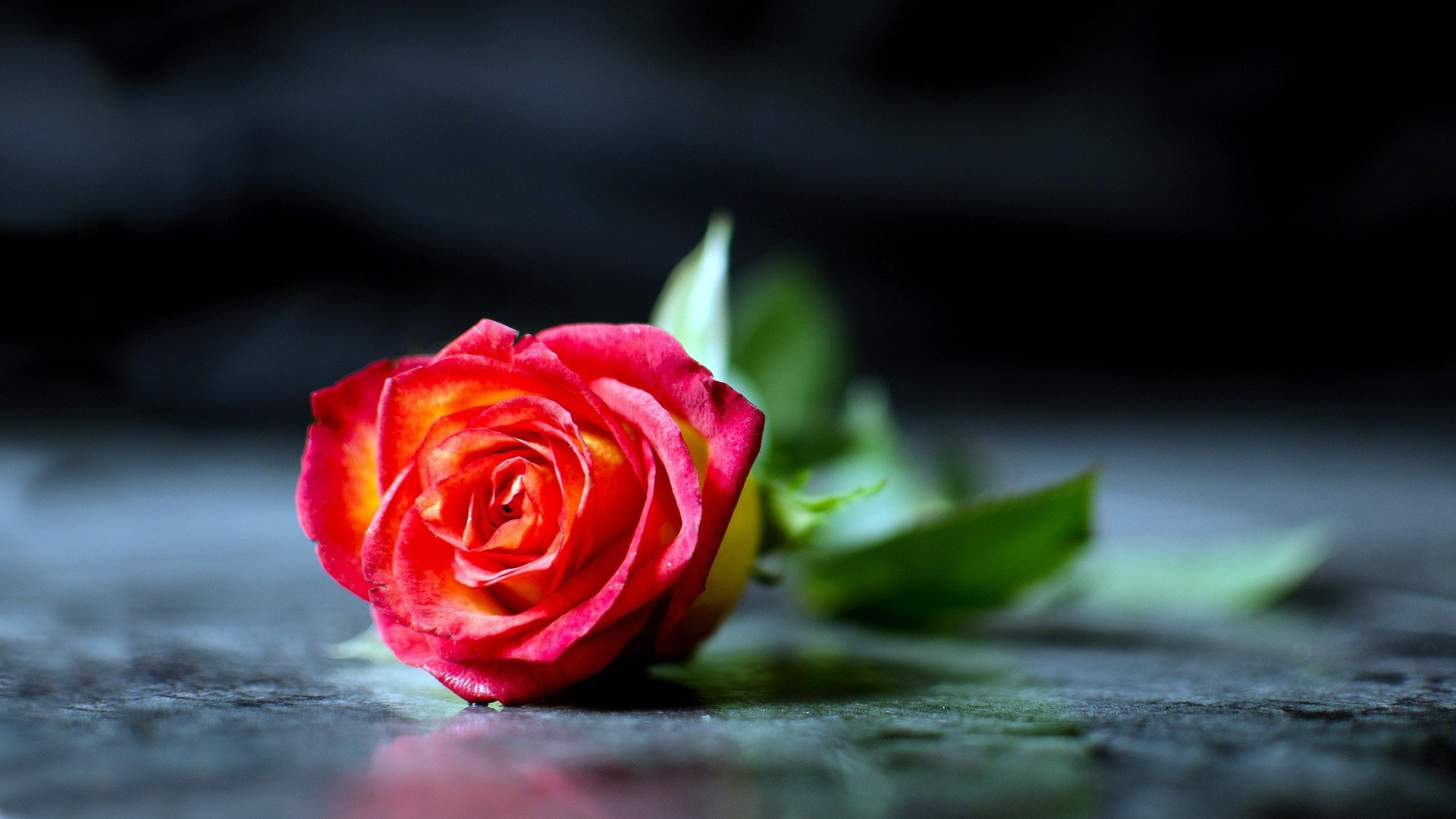 難以忘懷的初戀