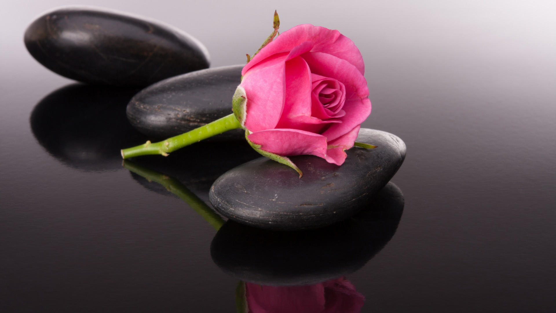 抖音上很火的個性說說 文字控喜歡的抖音上很火的個性說說