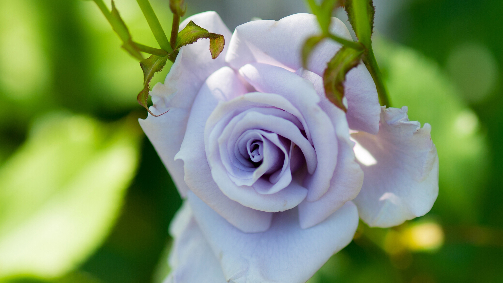 為什么你會(huì)單身？