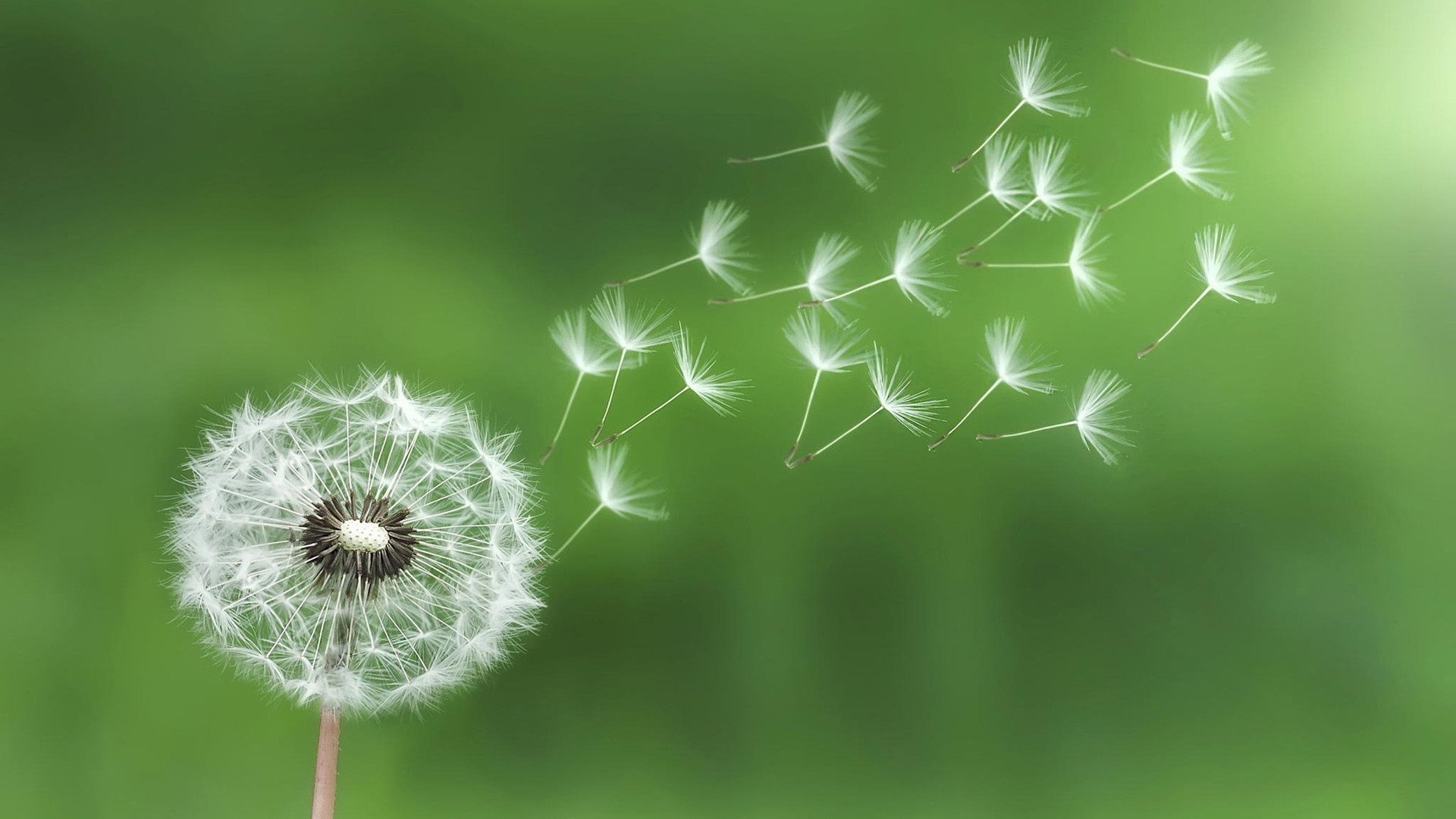 勵志積極向上的文案