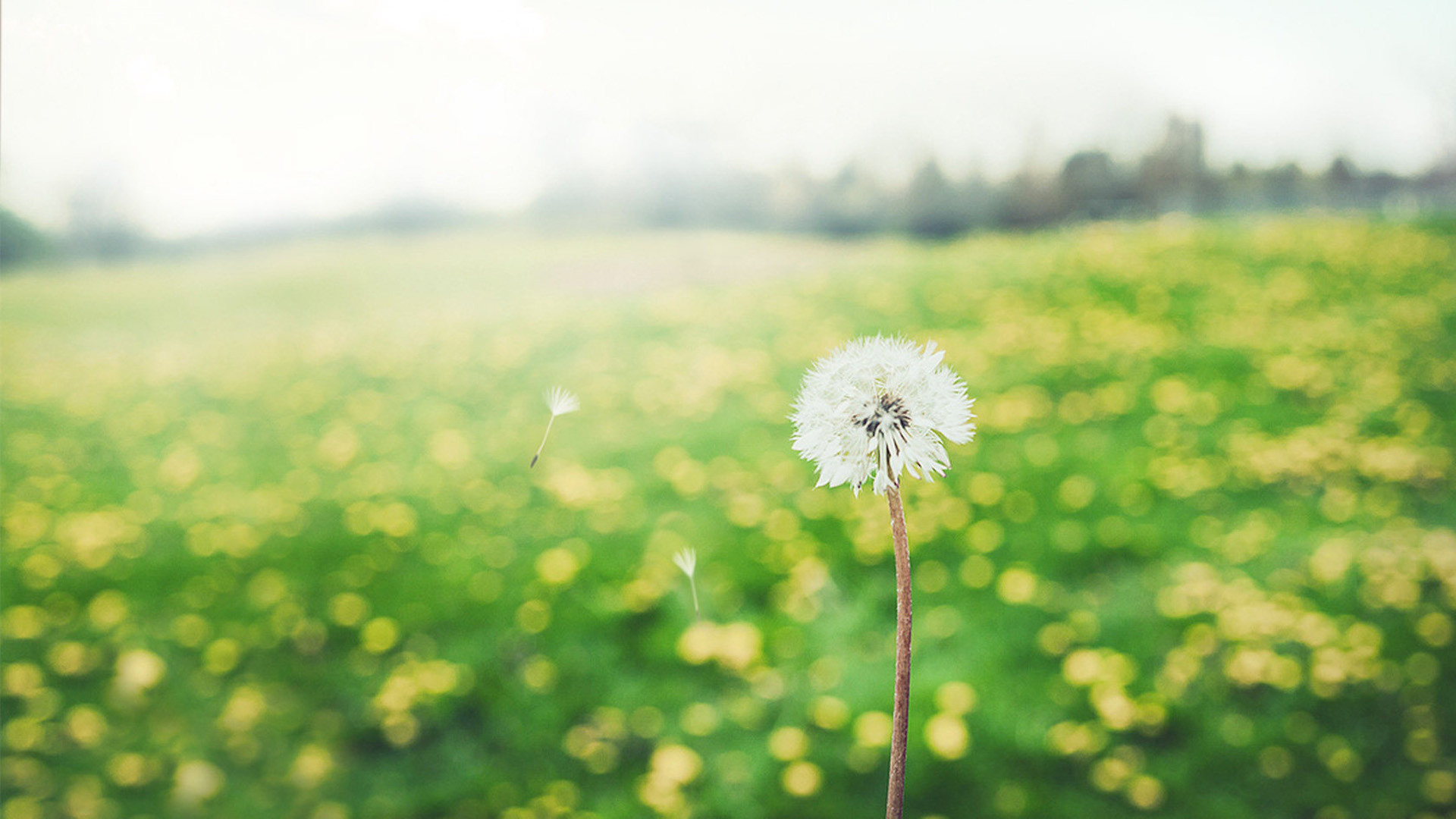 請不要再對孩子傾述你養他有多辛苦了，有生之年幸好讀到