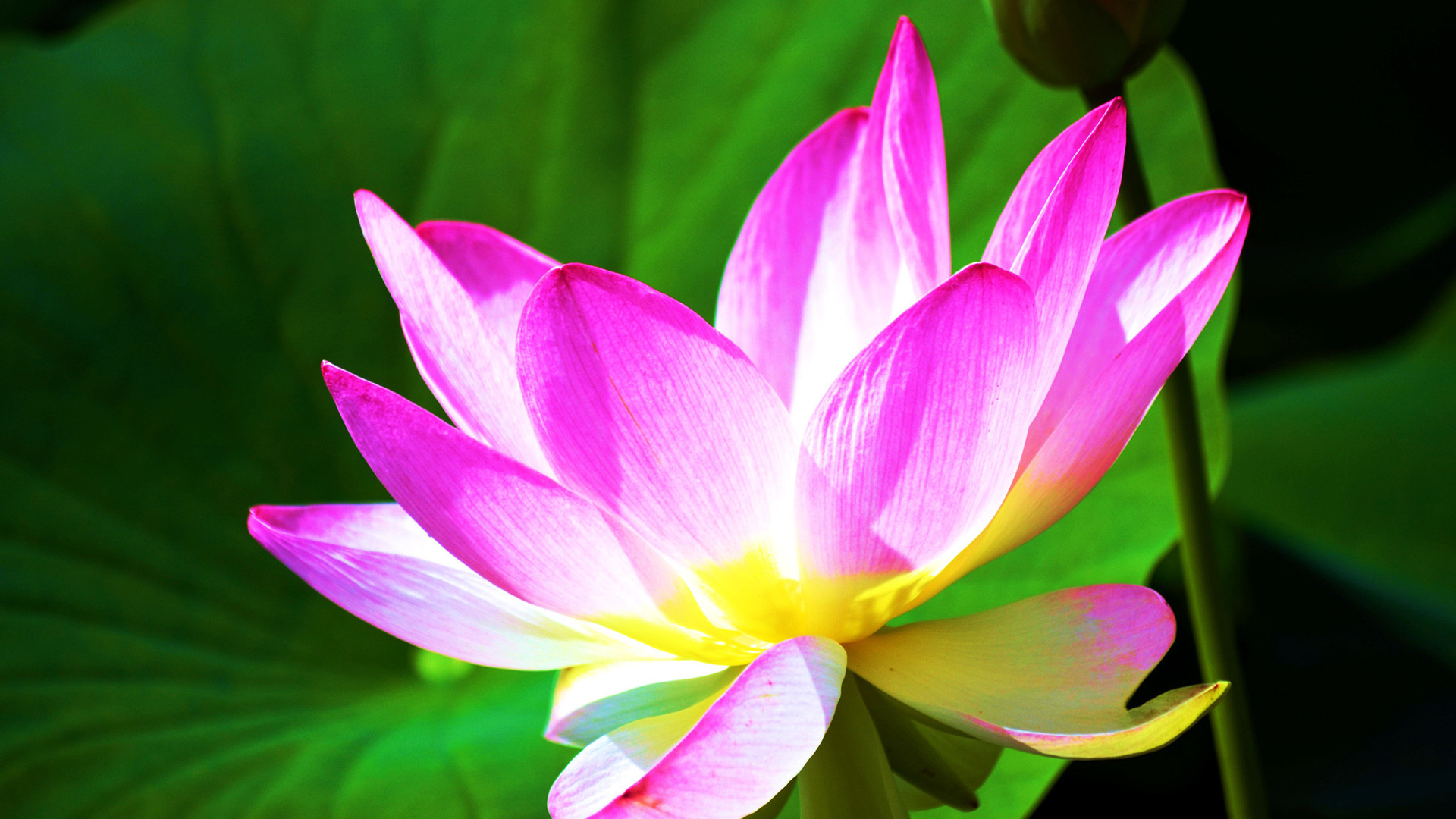 俞敏洪：斤斤計較的家庭走不出胸懷博大的孩子