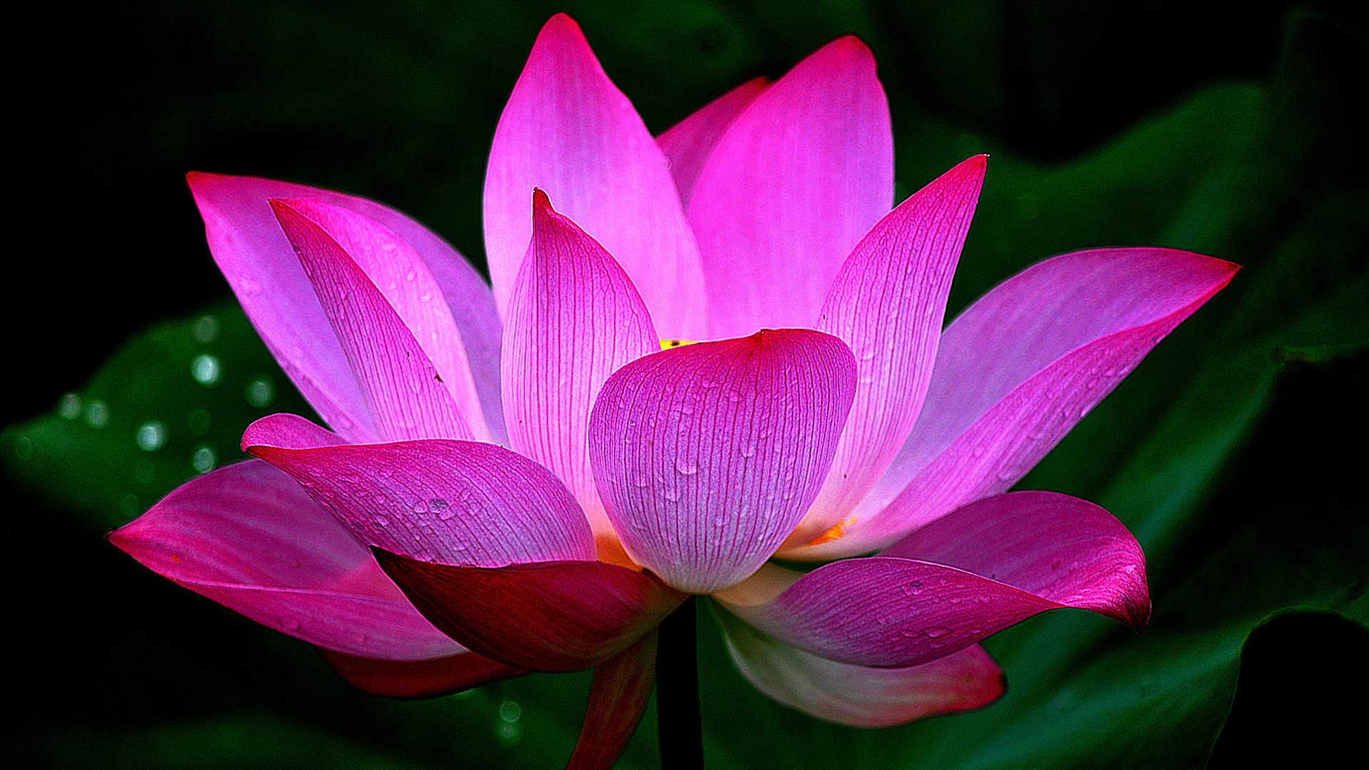 很有靈氣的女生抖音簽名 我想把攢了很多年的溫柔都給你