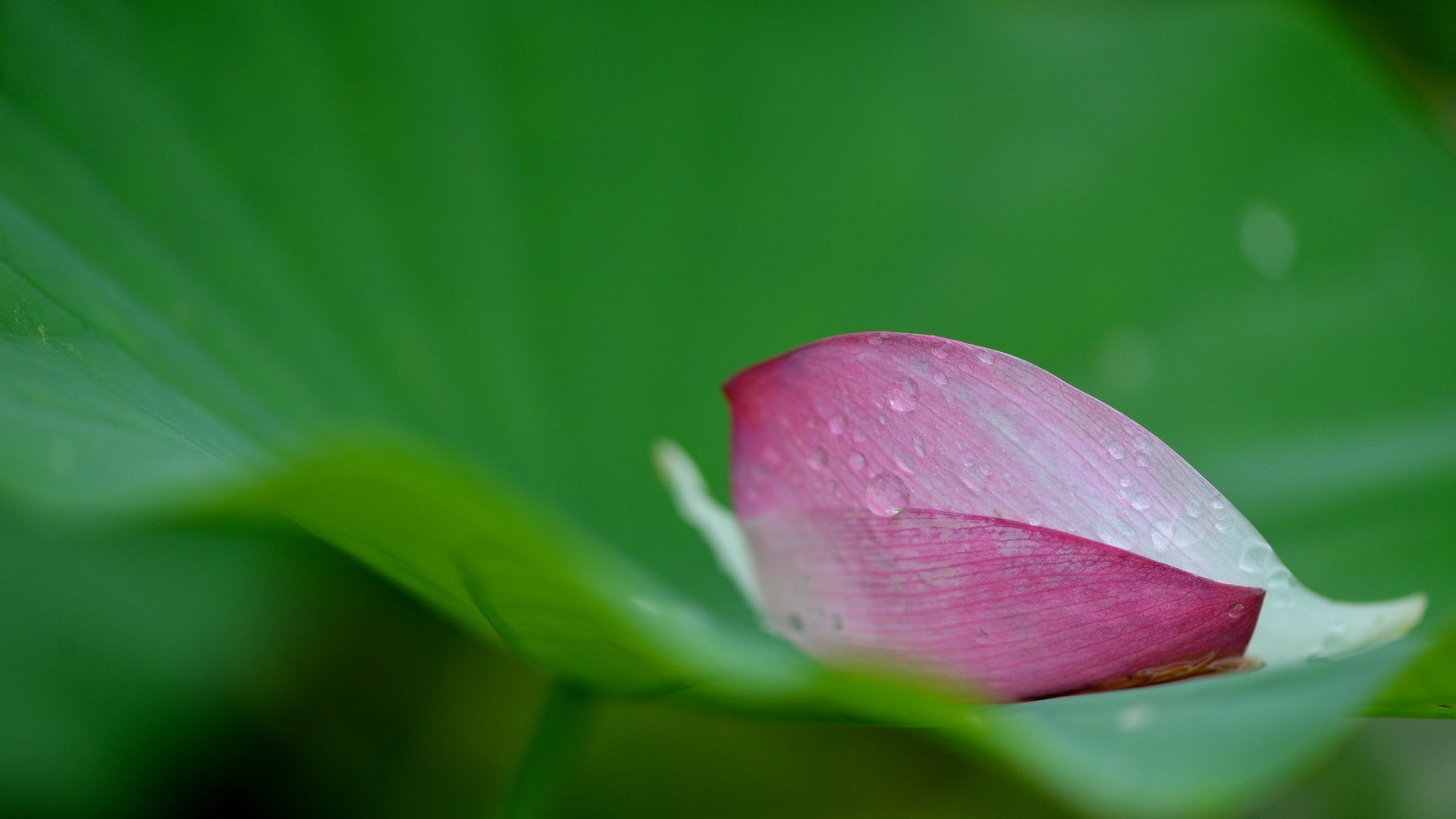 勵志書籍_勵志書籍排行榜_經典勵志書籍推薦_勵志書籍下載