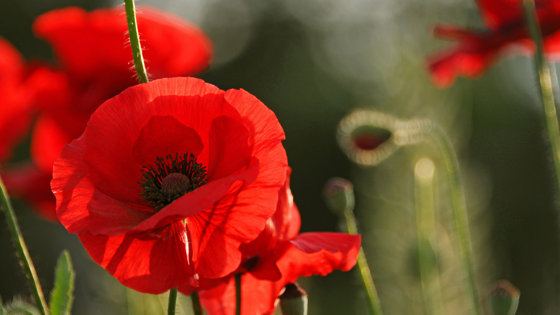 68位高考狀元真實身份曝光：最好的教育，是拼爹