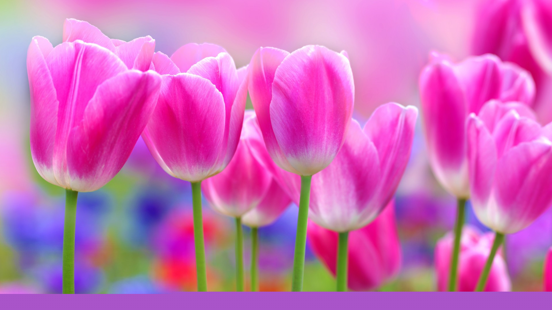 令人感動的文案