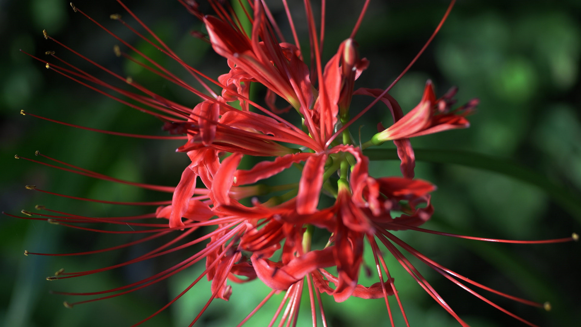 七夕情人節看什么電影最浪漫