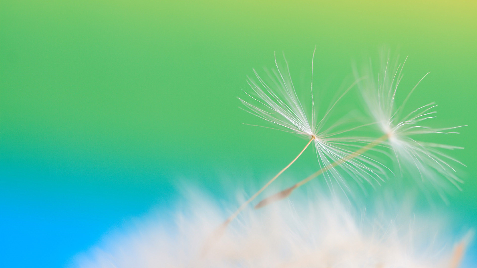 畢業(yè)感人語句