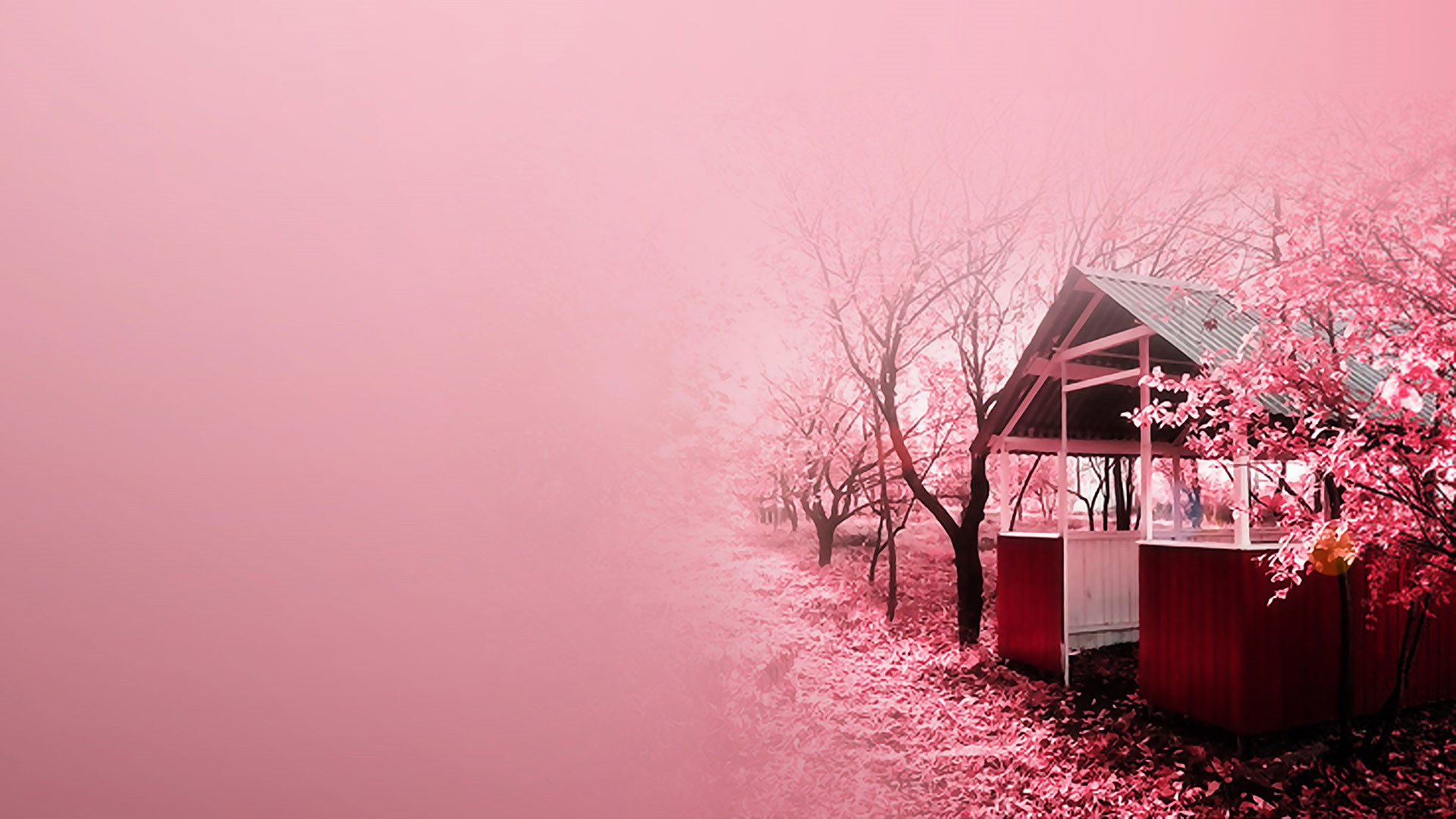 能把老師感動哭的教師節文案