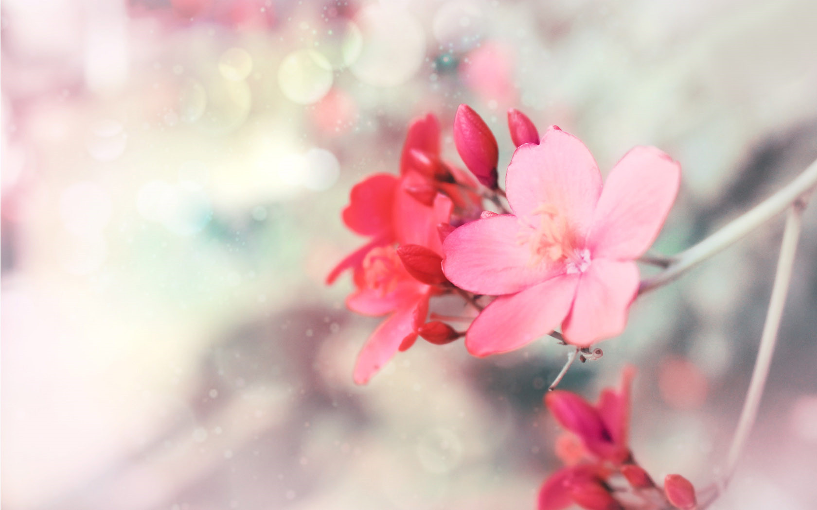 抖音上女生超酷經典說說 最火爆特別酷的說說大全