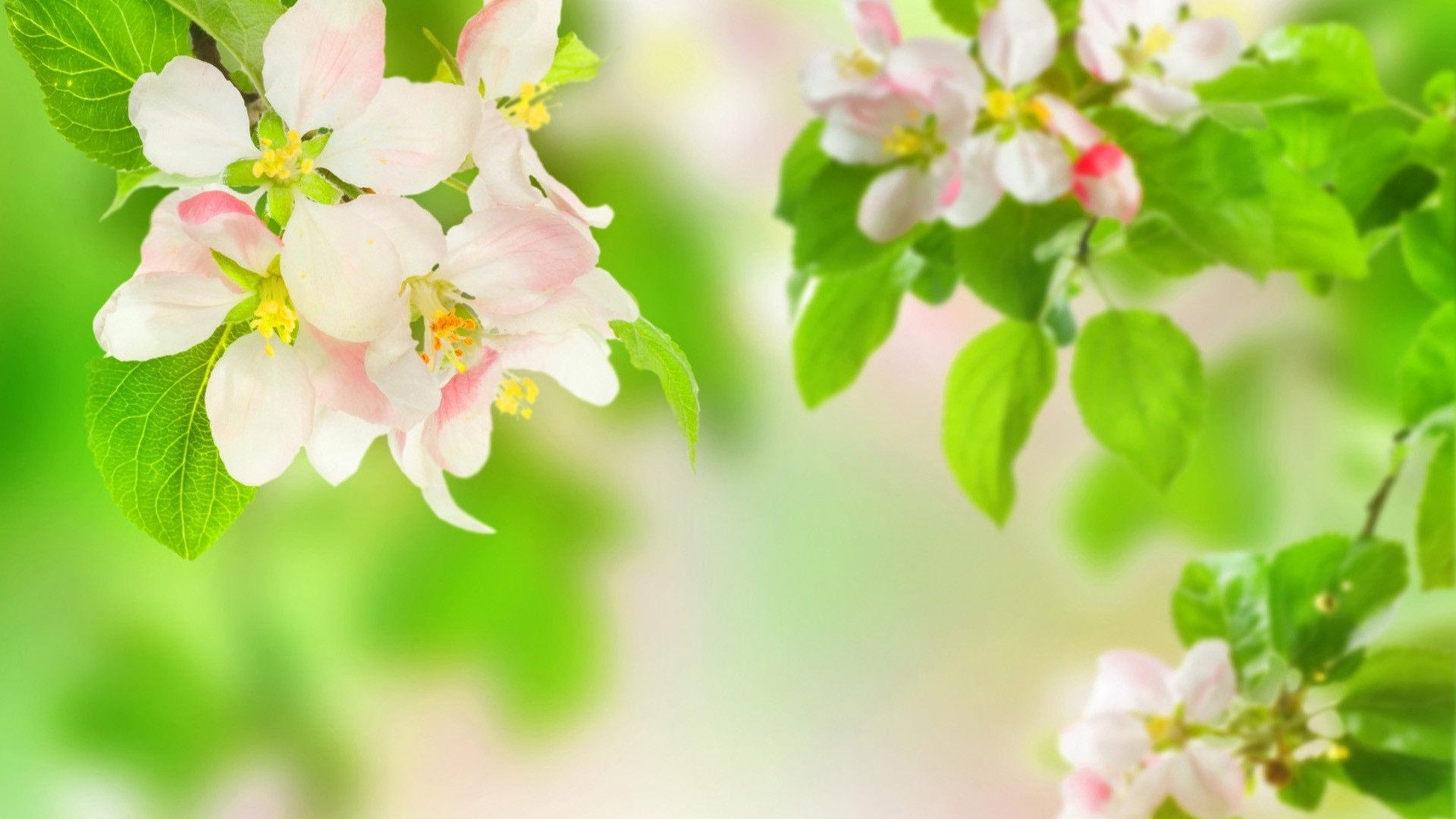 你微笑著向我走來