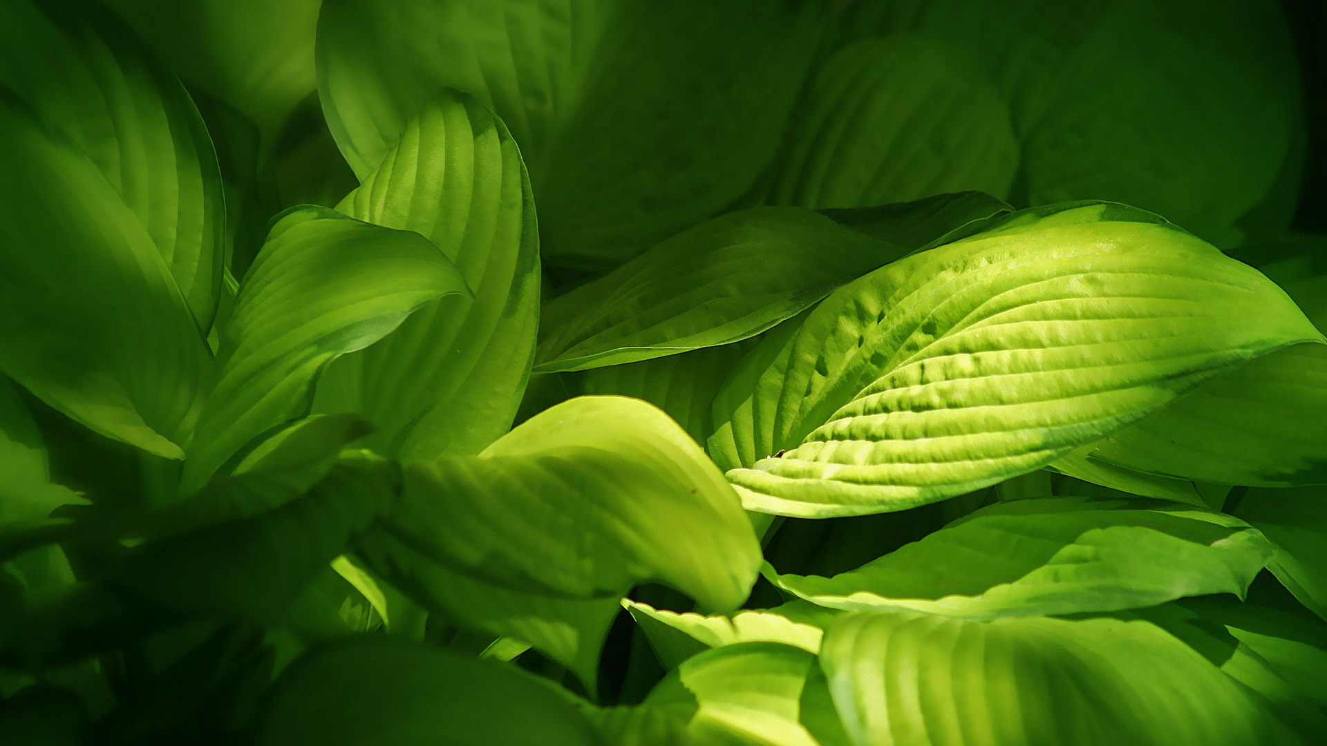 思念讓人難以進入夢鄉