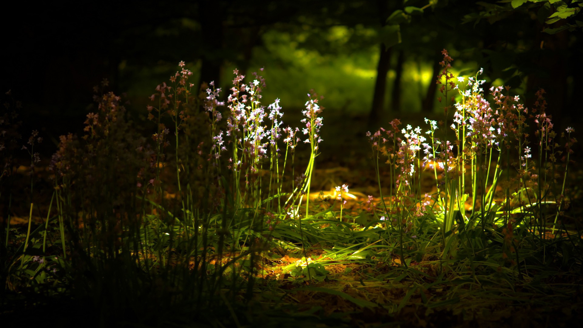 國慶祝福短信 國慶節(jié)祝福短信大全