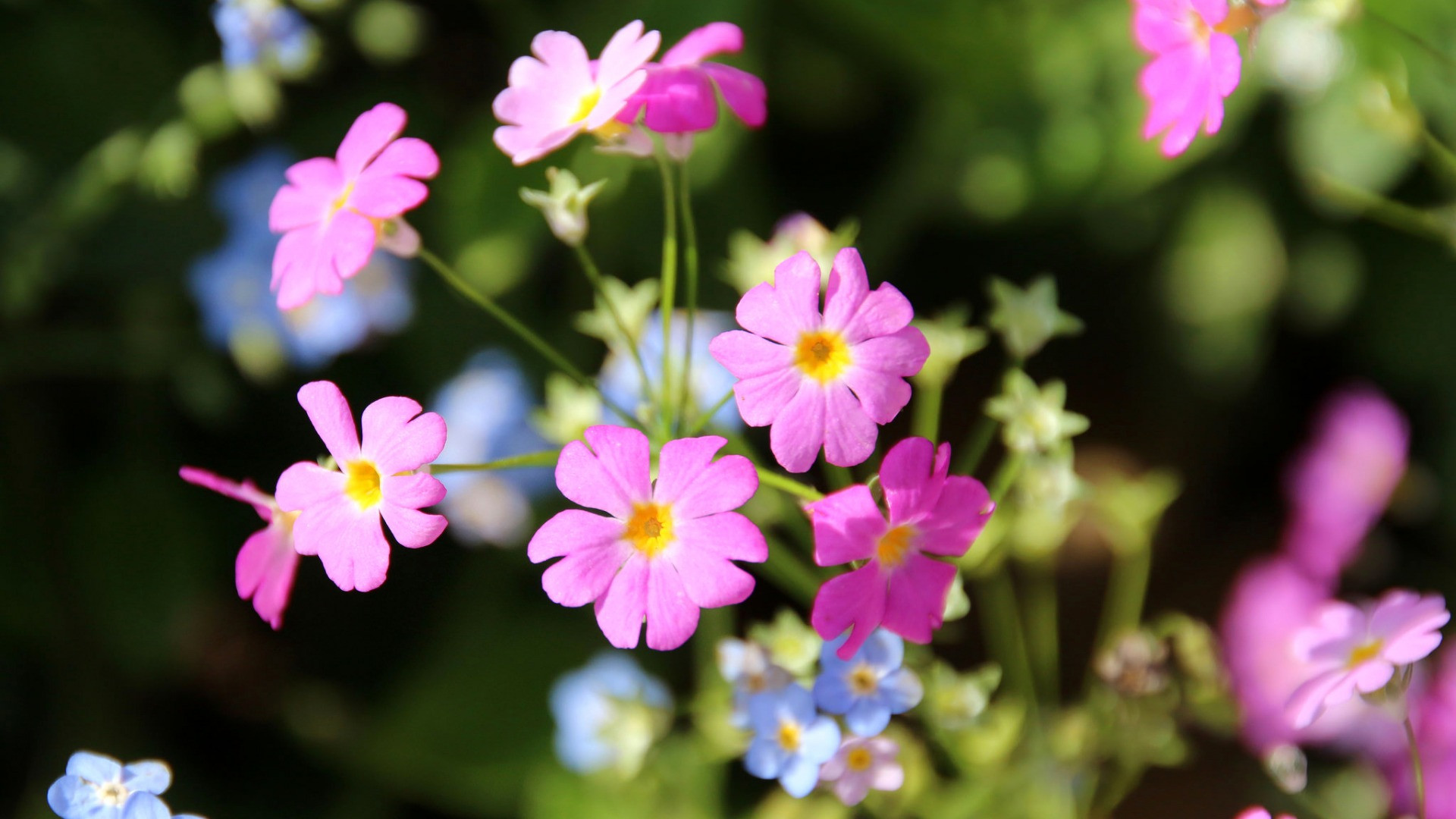 女人應該知道男人的哪些溫柔？