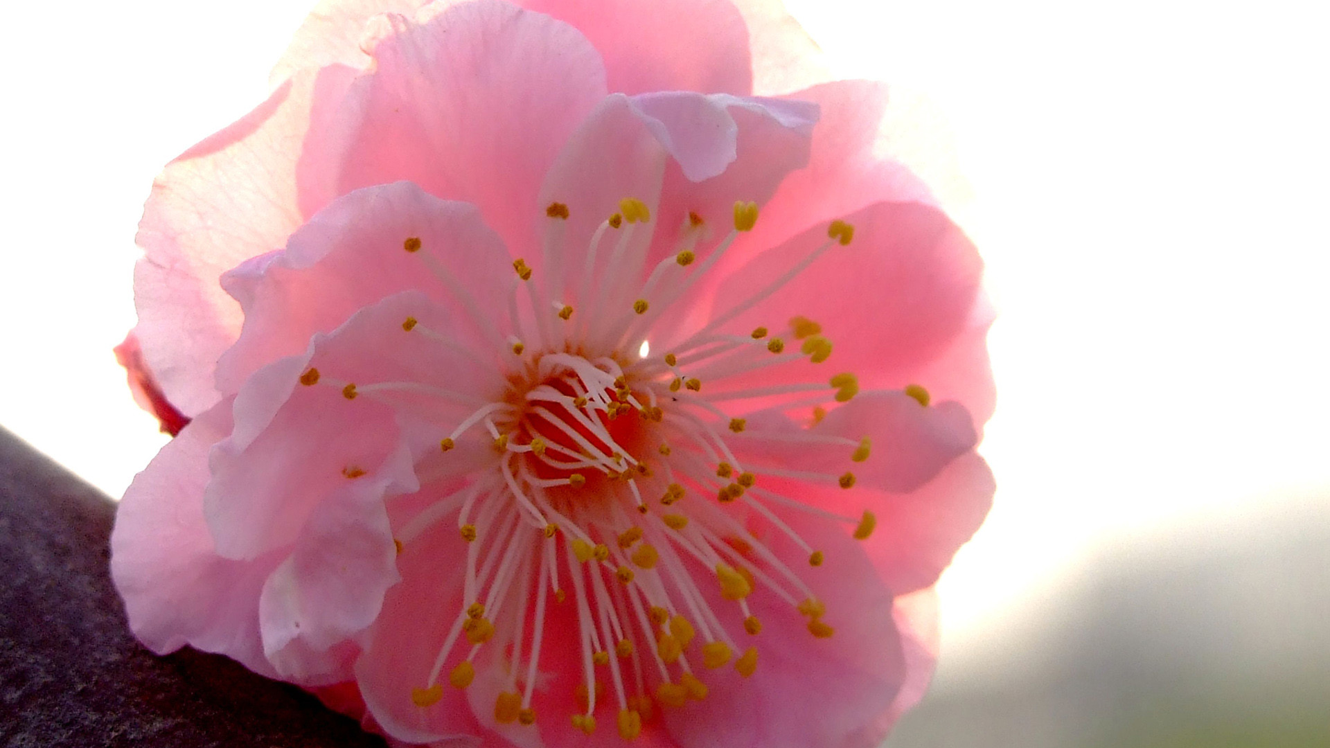 讀書類名人名言