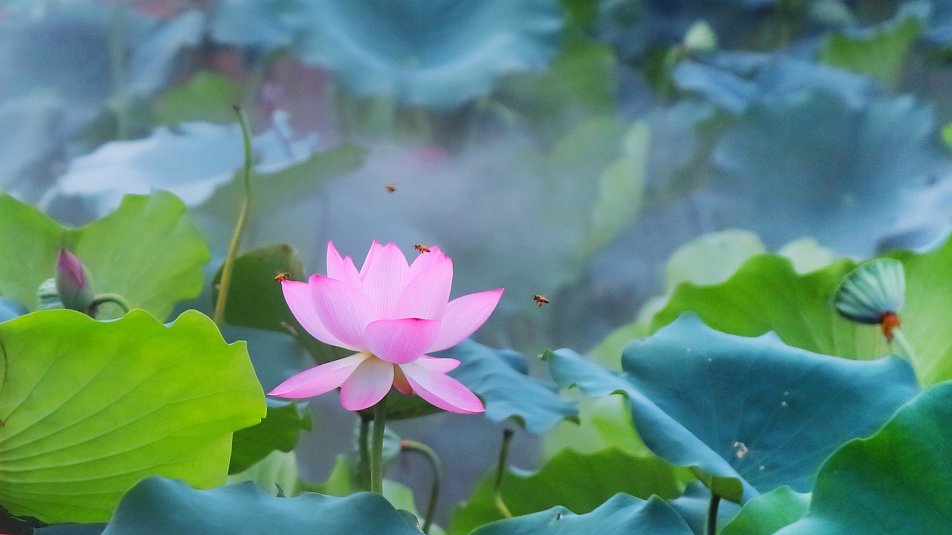 一句比一句更酷抖音說說 抖音上很火爆的非一般個性說說