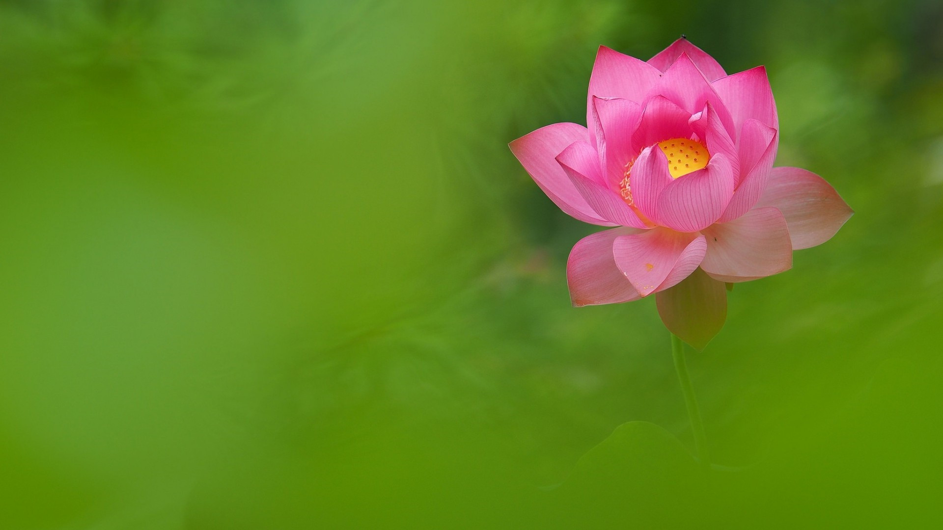 你想過(guò)要電話號(hào)碼