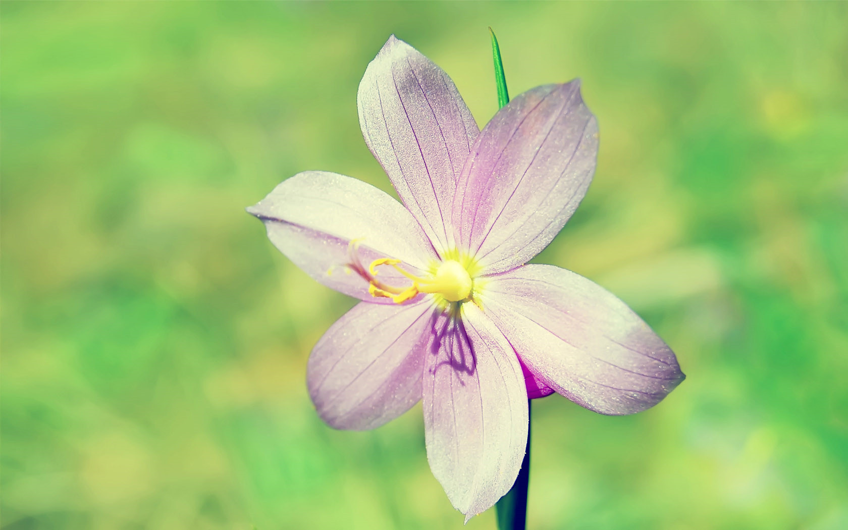 做一名愛讀書的女人