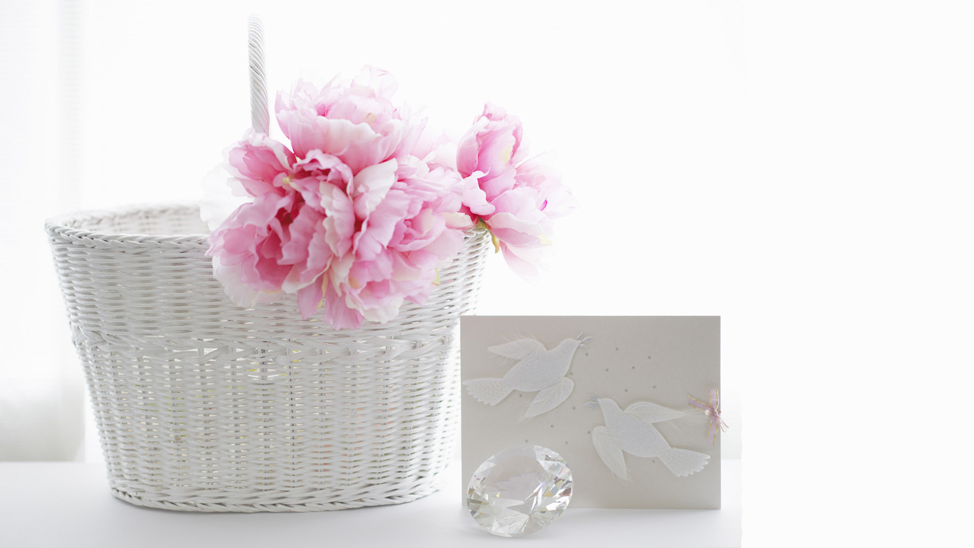 己亥之年話養豬趣事