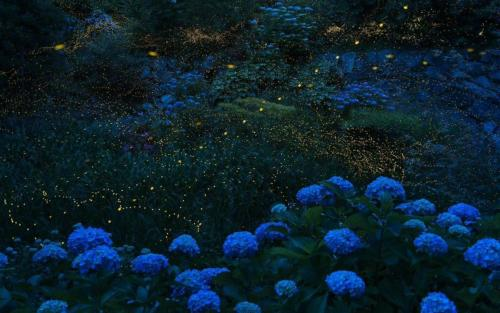 真正傷害孩子的爸爸其實是這五種