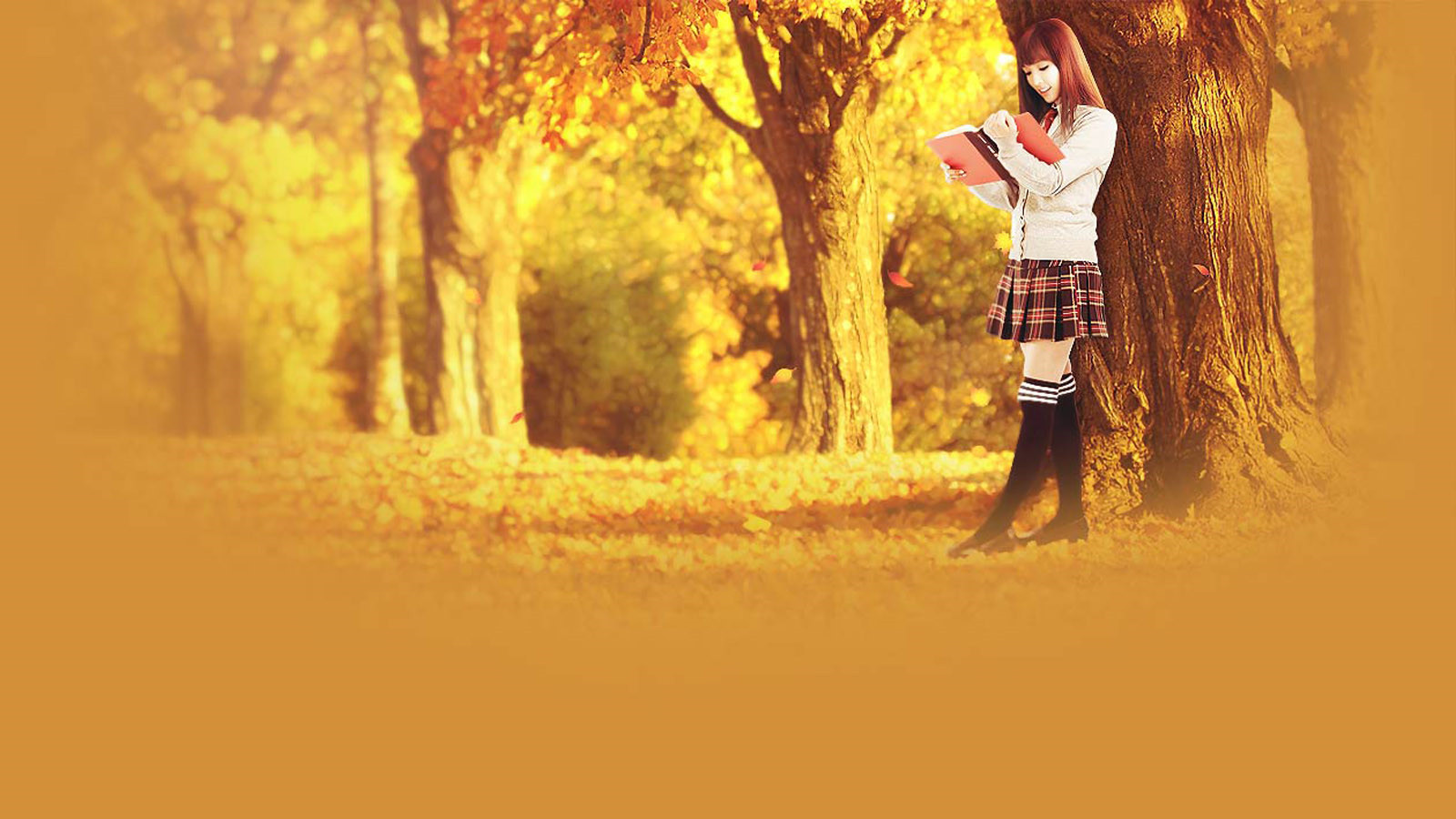 賞月，感悟月光