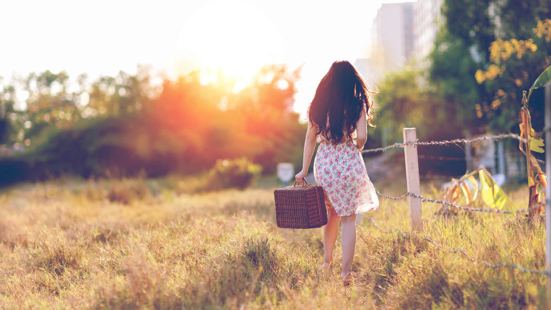 蘇幕遮·舊年所感