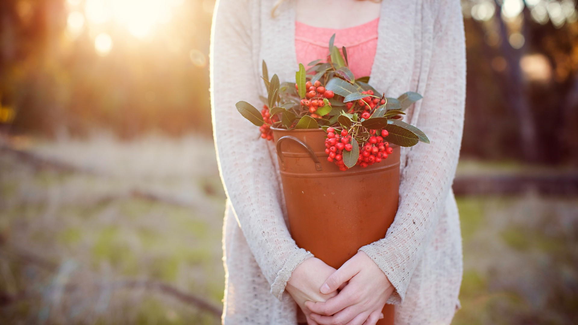 余秋雨：南方的毀滅