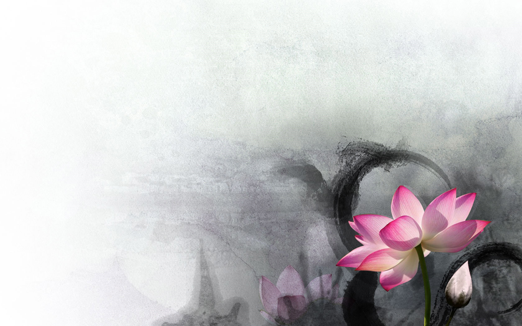 季羨林：開卷有益