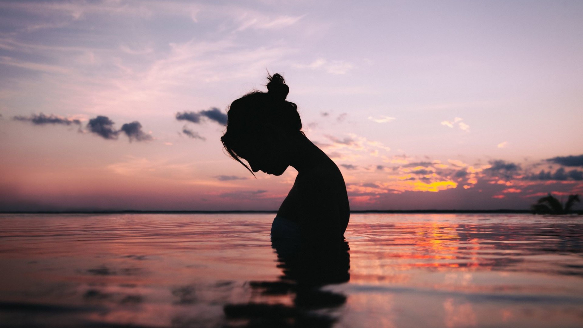 梁實秋：貓的故事