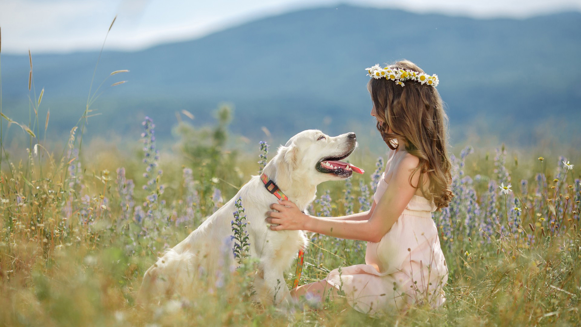 關于驕傲的名言