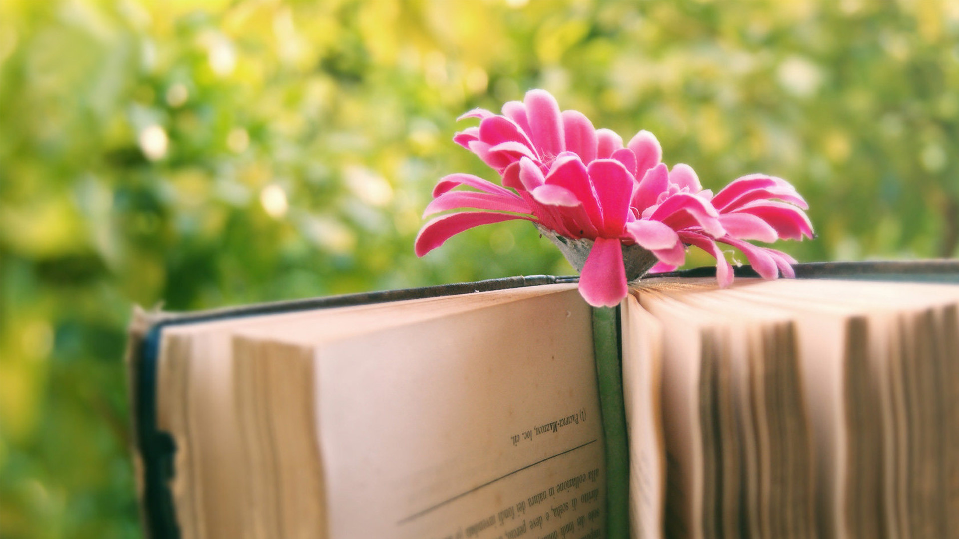 待卿發絲齊腰長（古風）