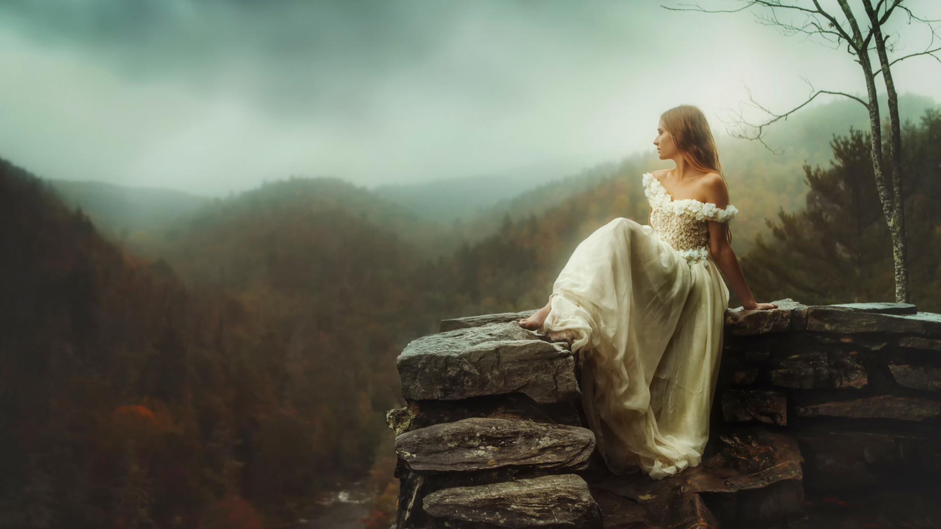 如夢令·錯把心事交付（七古）