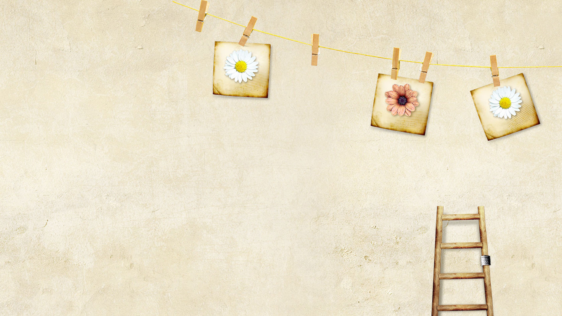 張愛(ài)玲：論寫作