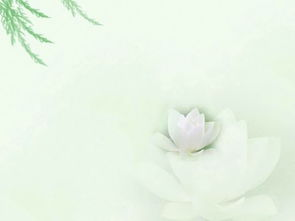 關(guān)于青年的名言