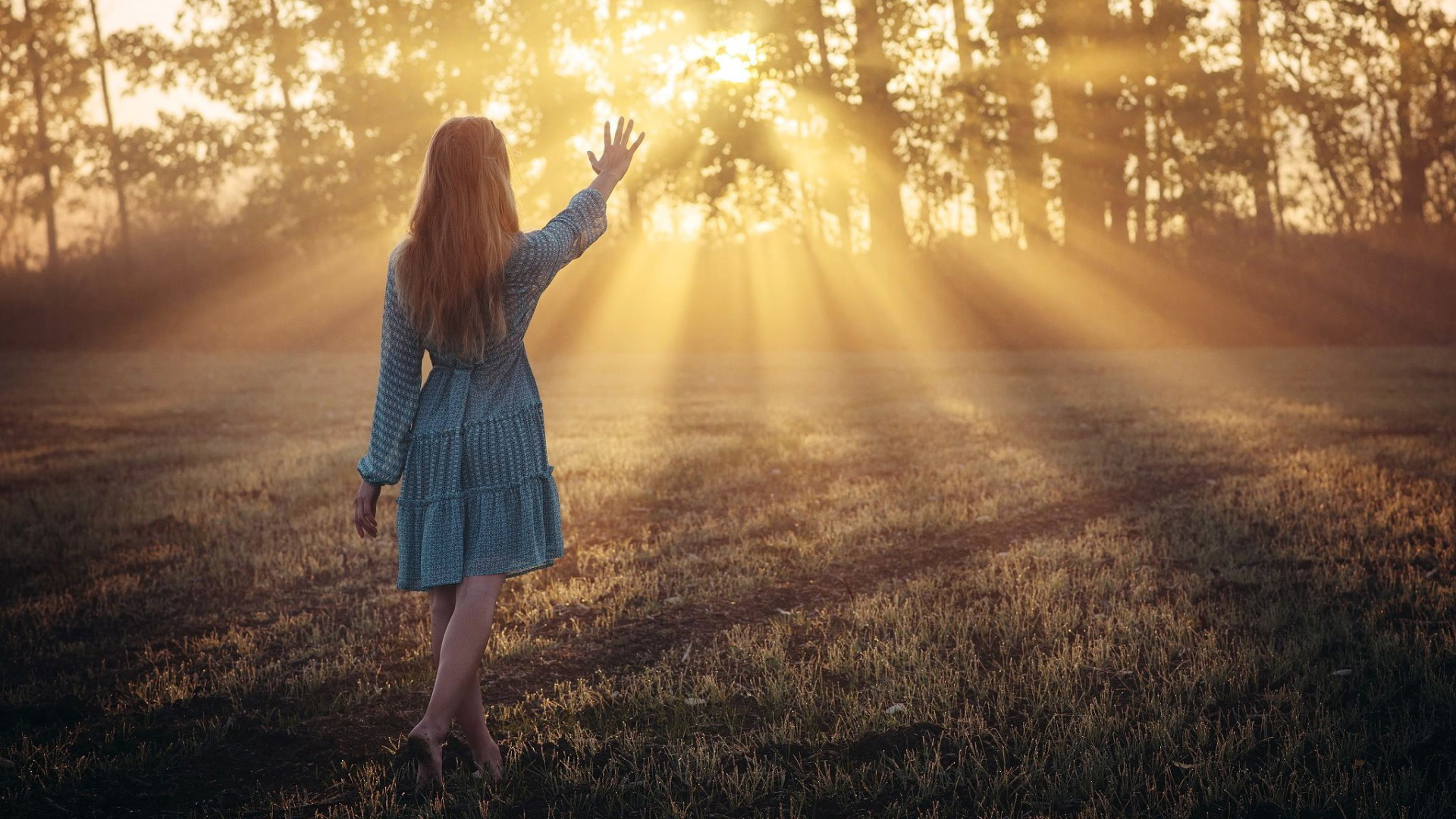 與鳥有關的語句