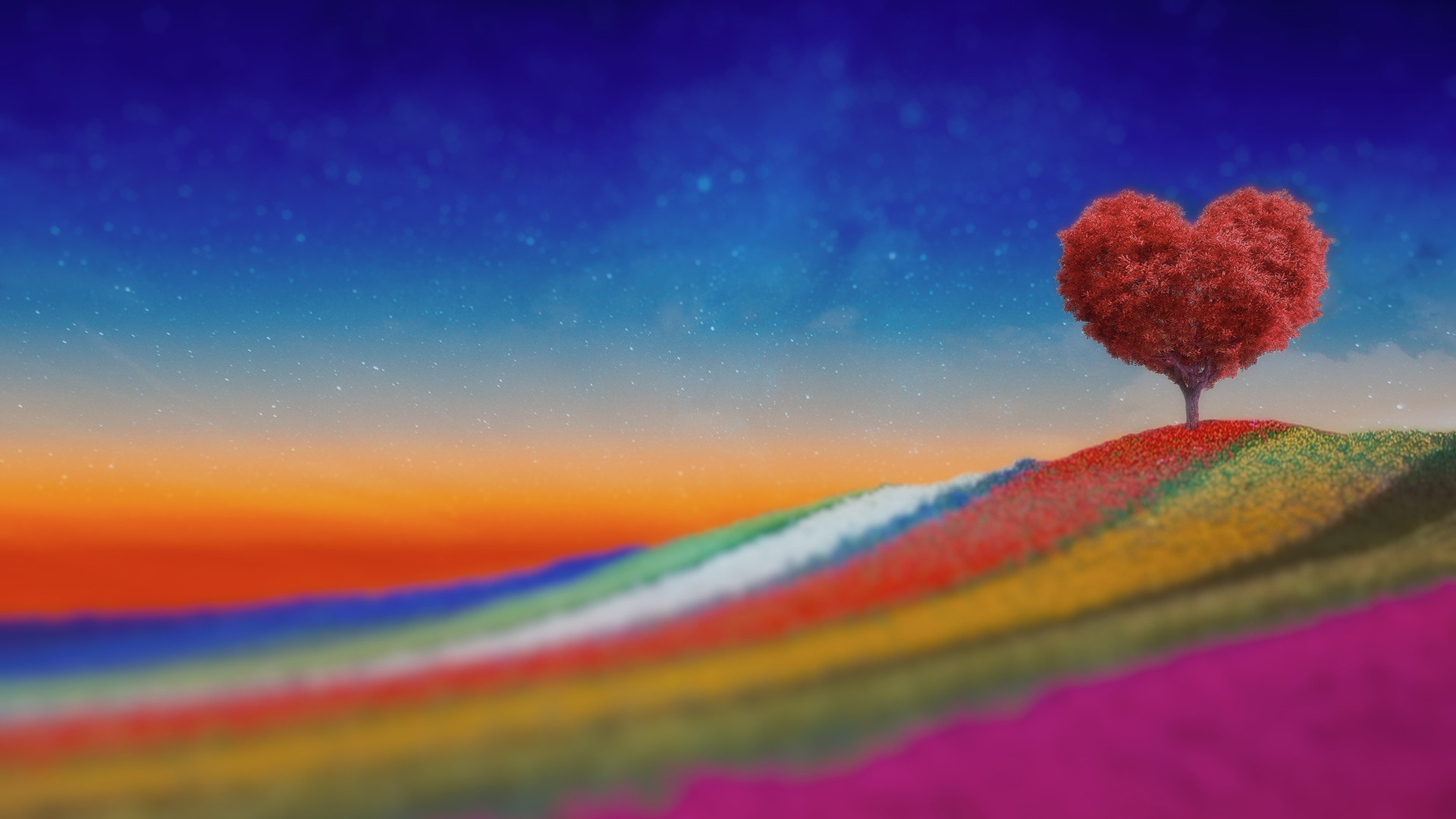 有關(guān)規(guī)則的語(yǔ)句