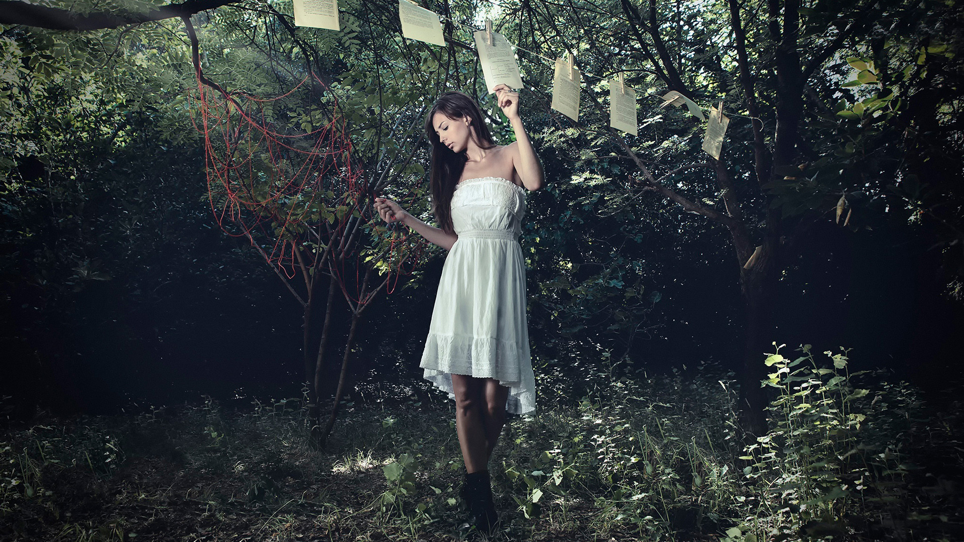 你若不愛，我亦不怪