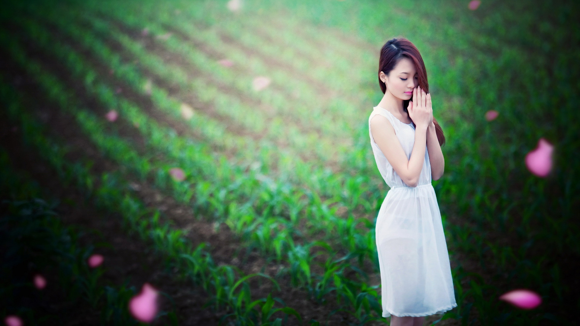 讀書名言警句大全