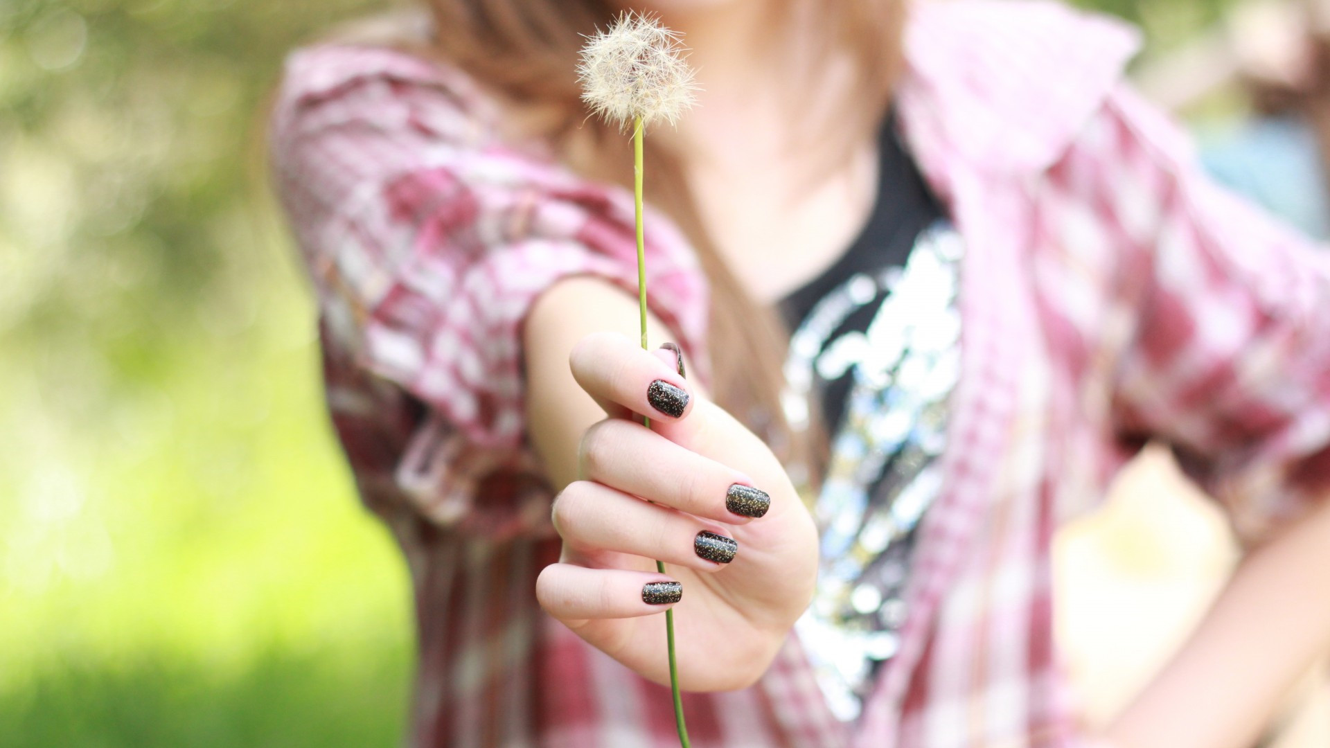 年度感動文章：《韭菜》，看哭無數人